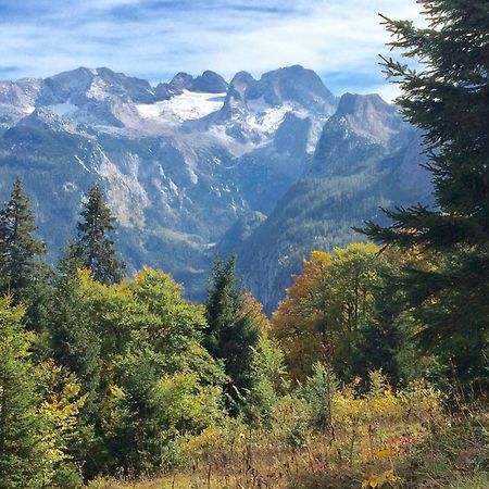 Dachstein Mountainview Gosau Διαμέρισμα Εξωτερικό φωτογραφία