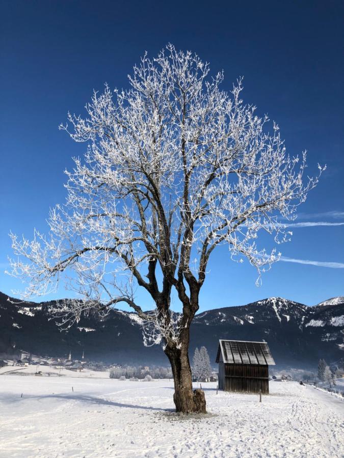 Dachstein Mountainview Gosau Διαμέρισμα Εξωτερικό φωτογραφία