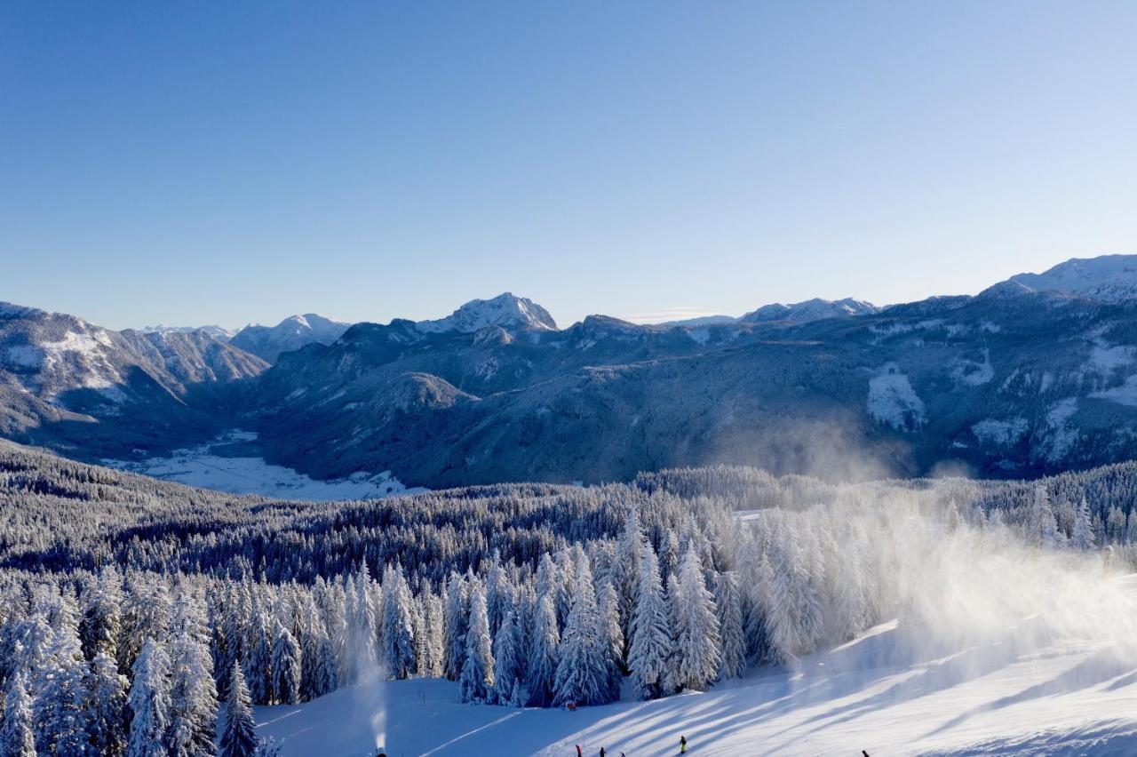Dachstein Mountainview Gosau Διαμέρισμα Εξωτερικό φωτογραφία