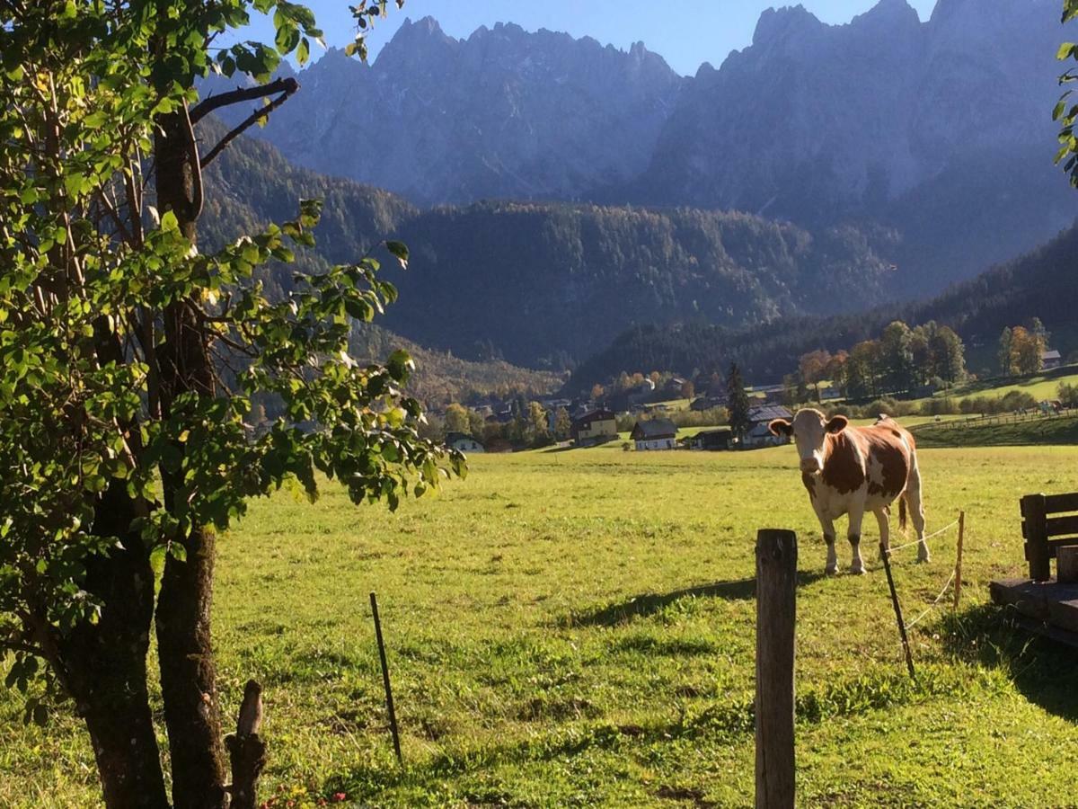 Dachstein Mountainview Gosau Διαμέρισμα Εξωτερικό φωτογραφία